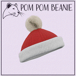 Pom Pom Beanie