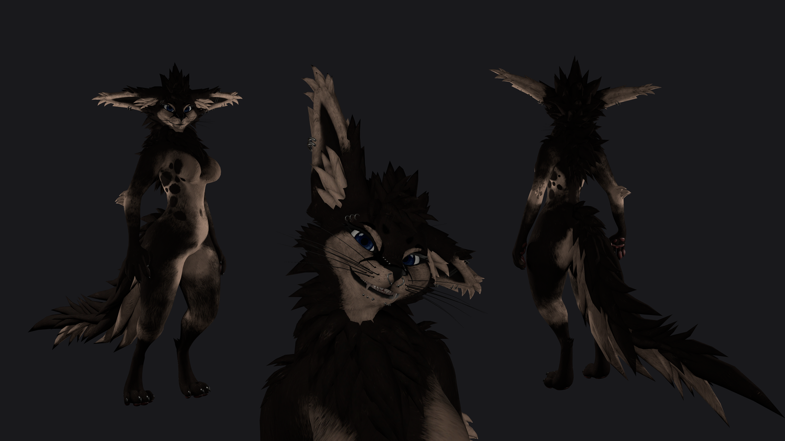 Rita - Rexouium Texture