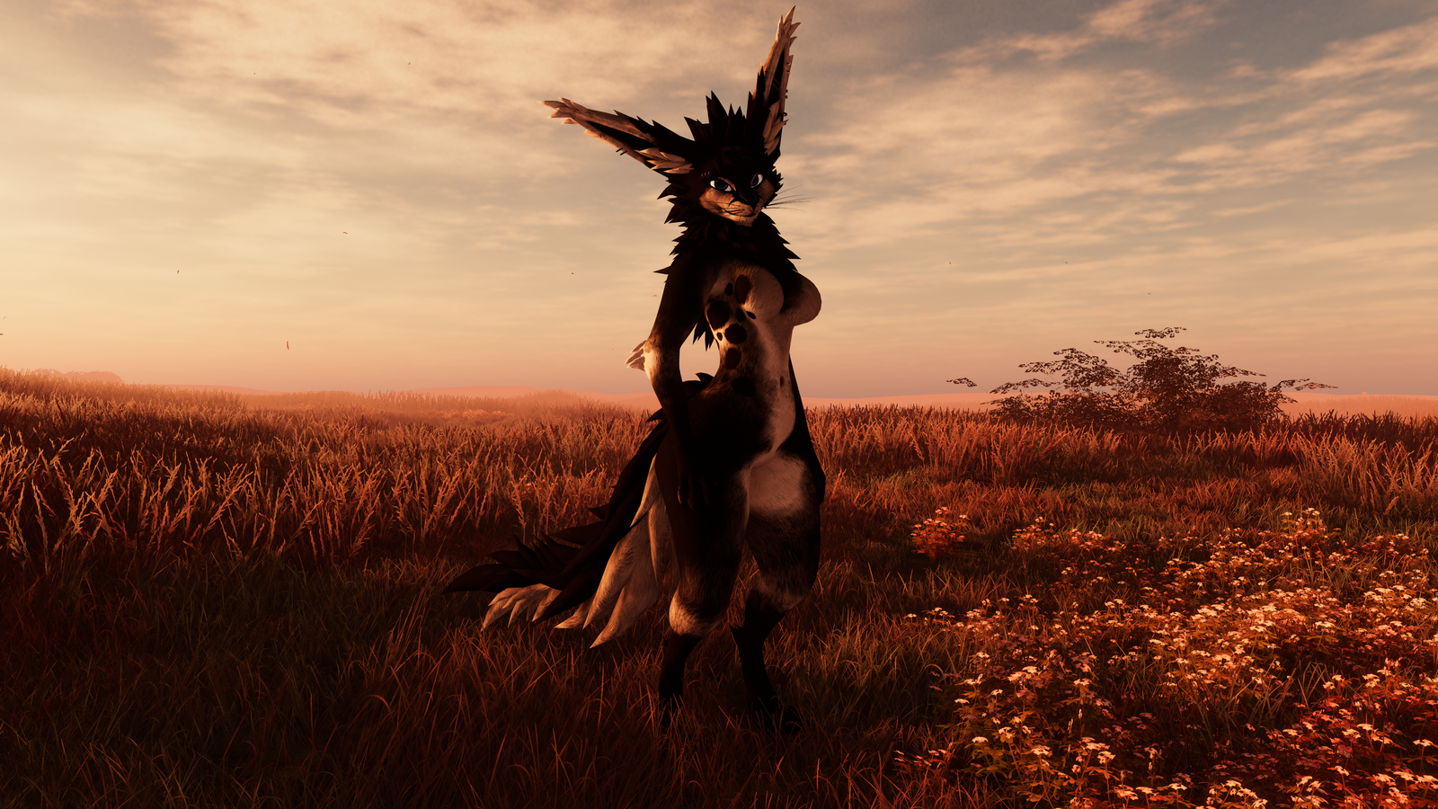 Rita - Rexouium Texture