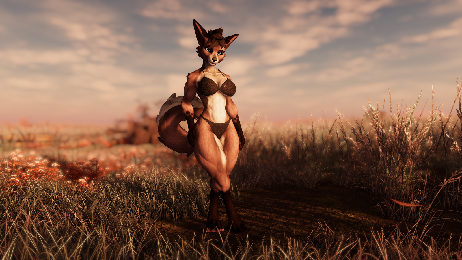 Charlette - Viwi Texture