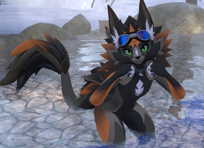 Nova Cross Fox