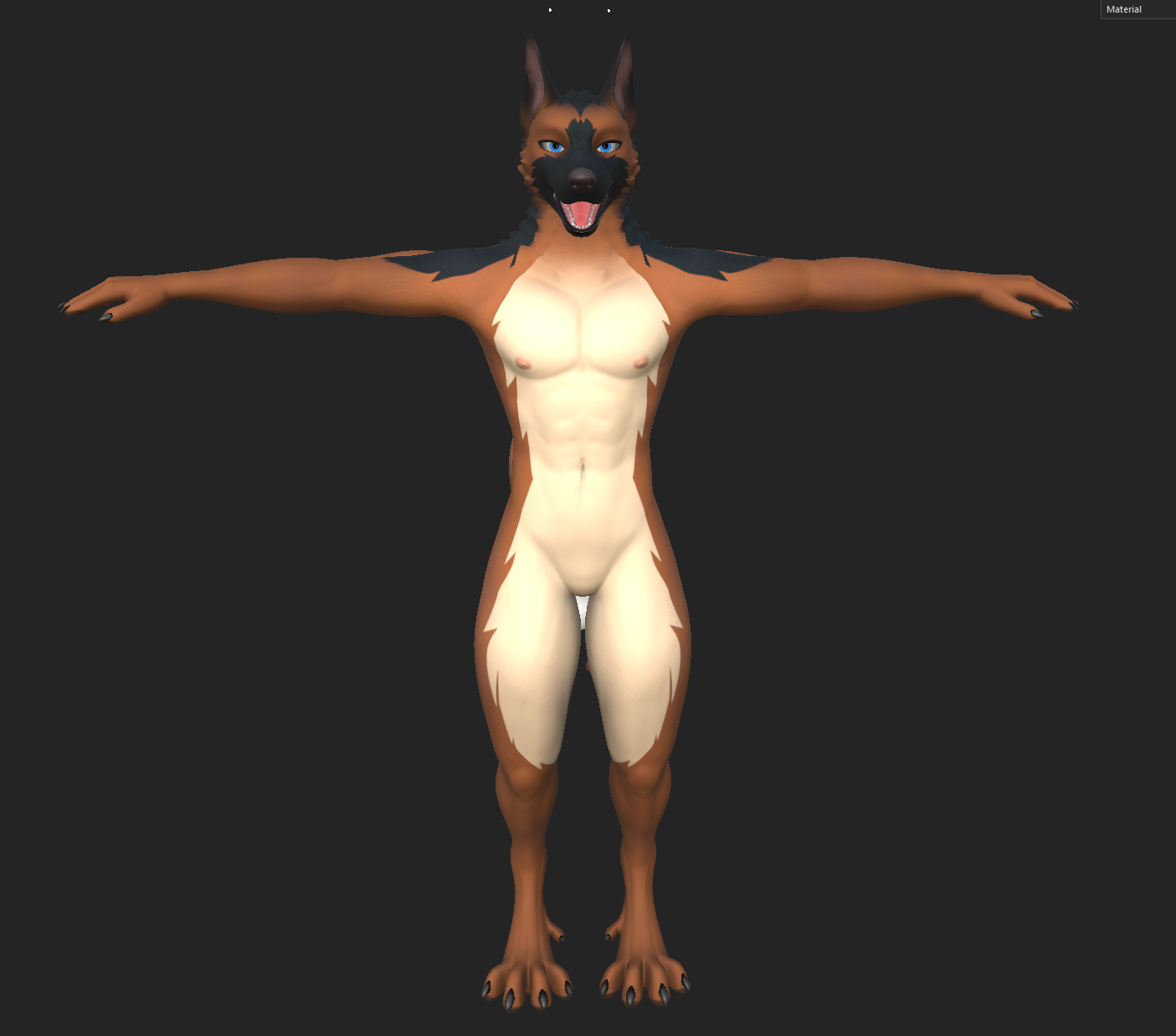 German Shepherd Texture for Beau