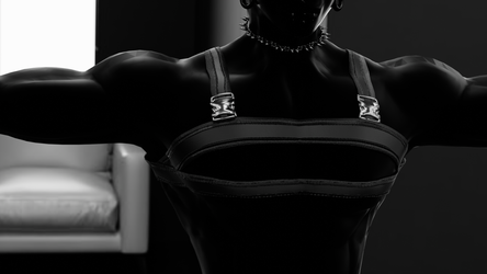 Harness