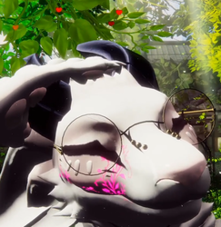 Animated Contacts for the Origin