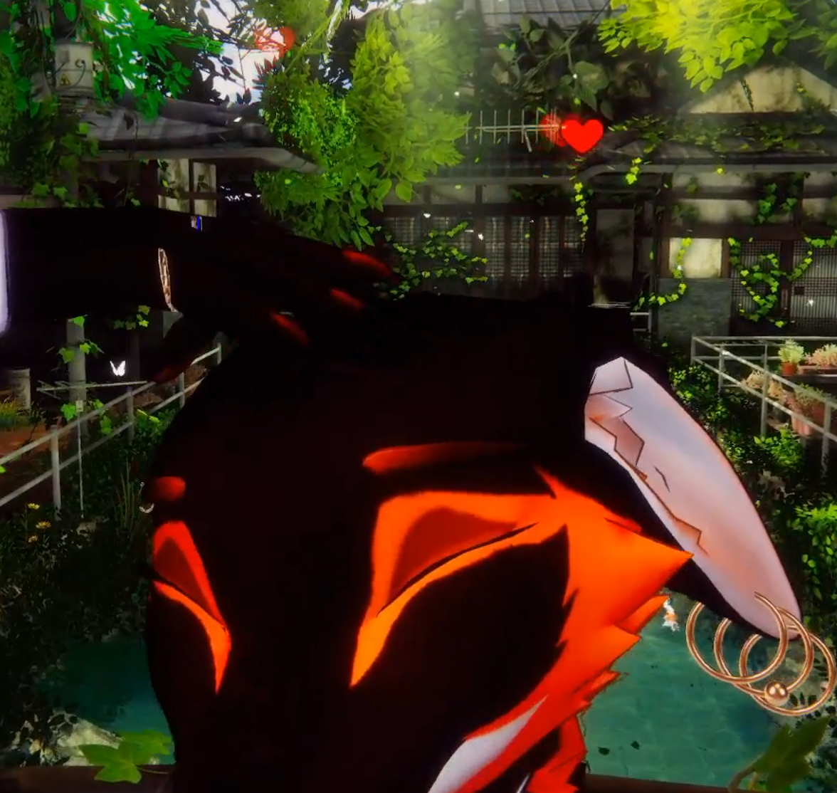 Animated Contacts for the Maned Wolf