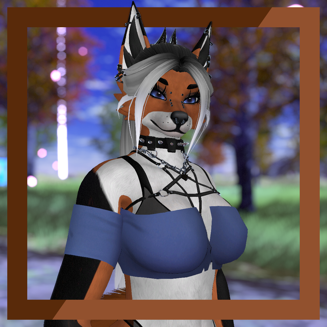 Fox Aurora Texture