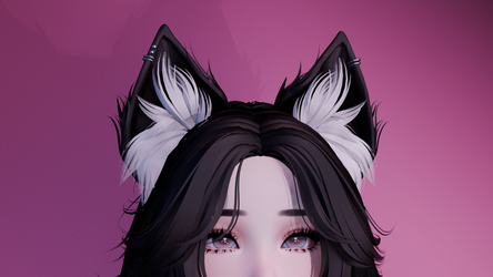 Purrfect Cat Set