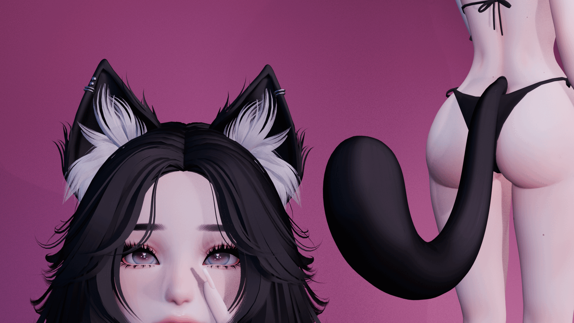 Purrfect Cat Set
