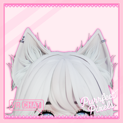 Purrfect Cat Set
