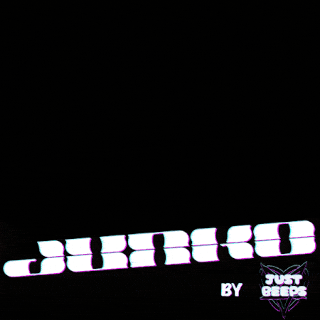 Junko, the Gyaru (Gogoloco, SPS, PC ONLY)