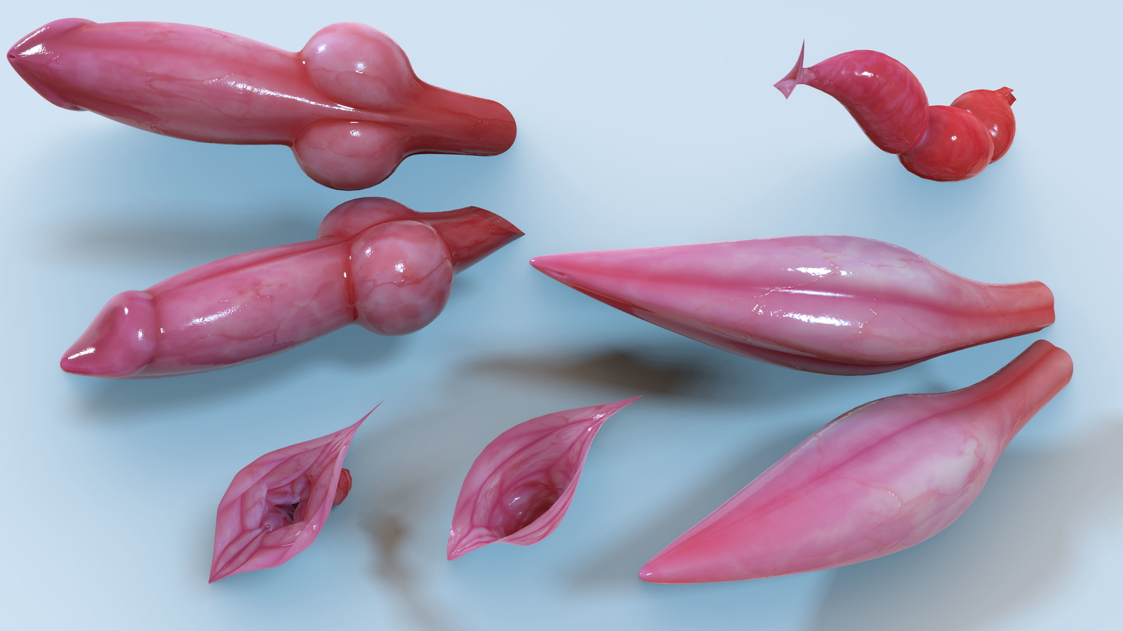 Nexa'vali 4.0 (NSFW) (Avali)