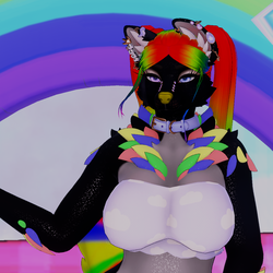 Prisma Sparkle dog ( Foxipaws Roxy)