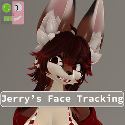 Amber Jerry's Face Tracking Add-On