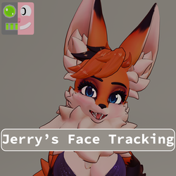 BallerFox Redux Jerry's Face Tracking Add-On