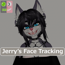 Rune Jerry's Face Tracking Add-On