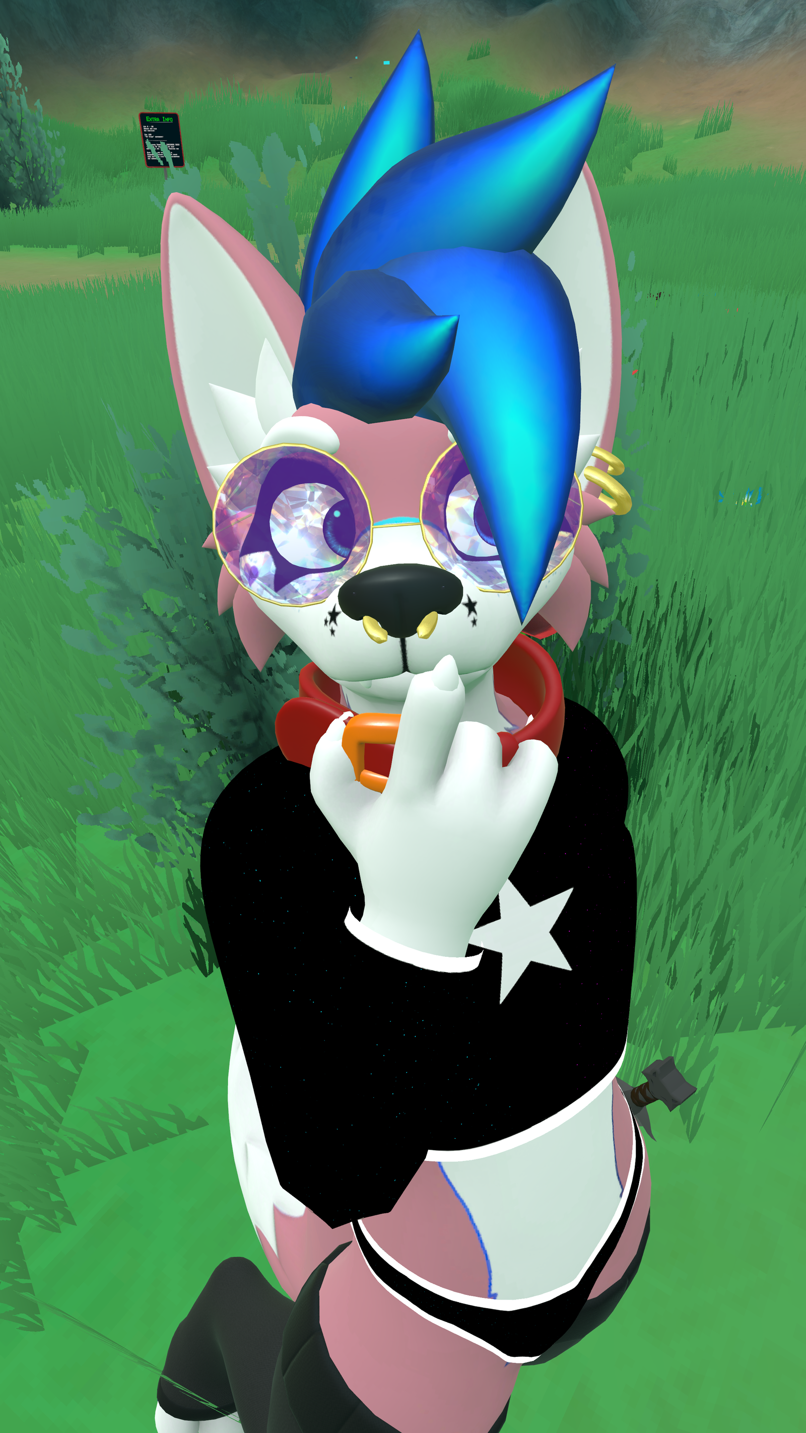Rave Clothing For Pupper