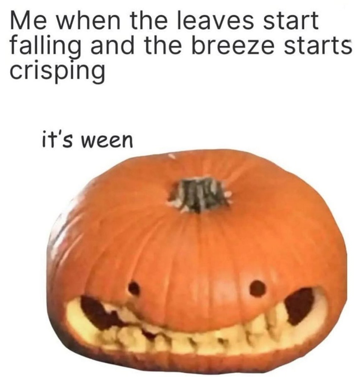 it's ween | *SERVER FREEBIE*