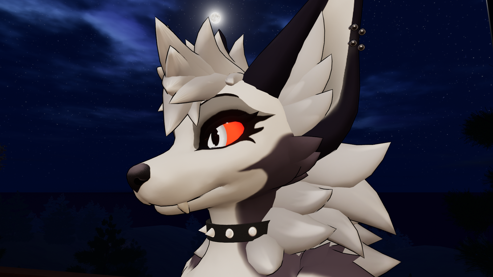 Outfit for Grey haired female wolf