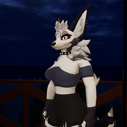 Outfit for Grey haired female wolf