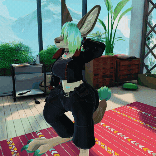 V-Roo - Combat Clothing - Kangaroo Outfits