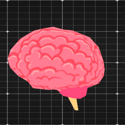 basic brain 