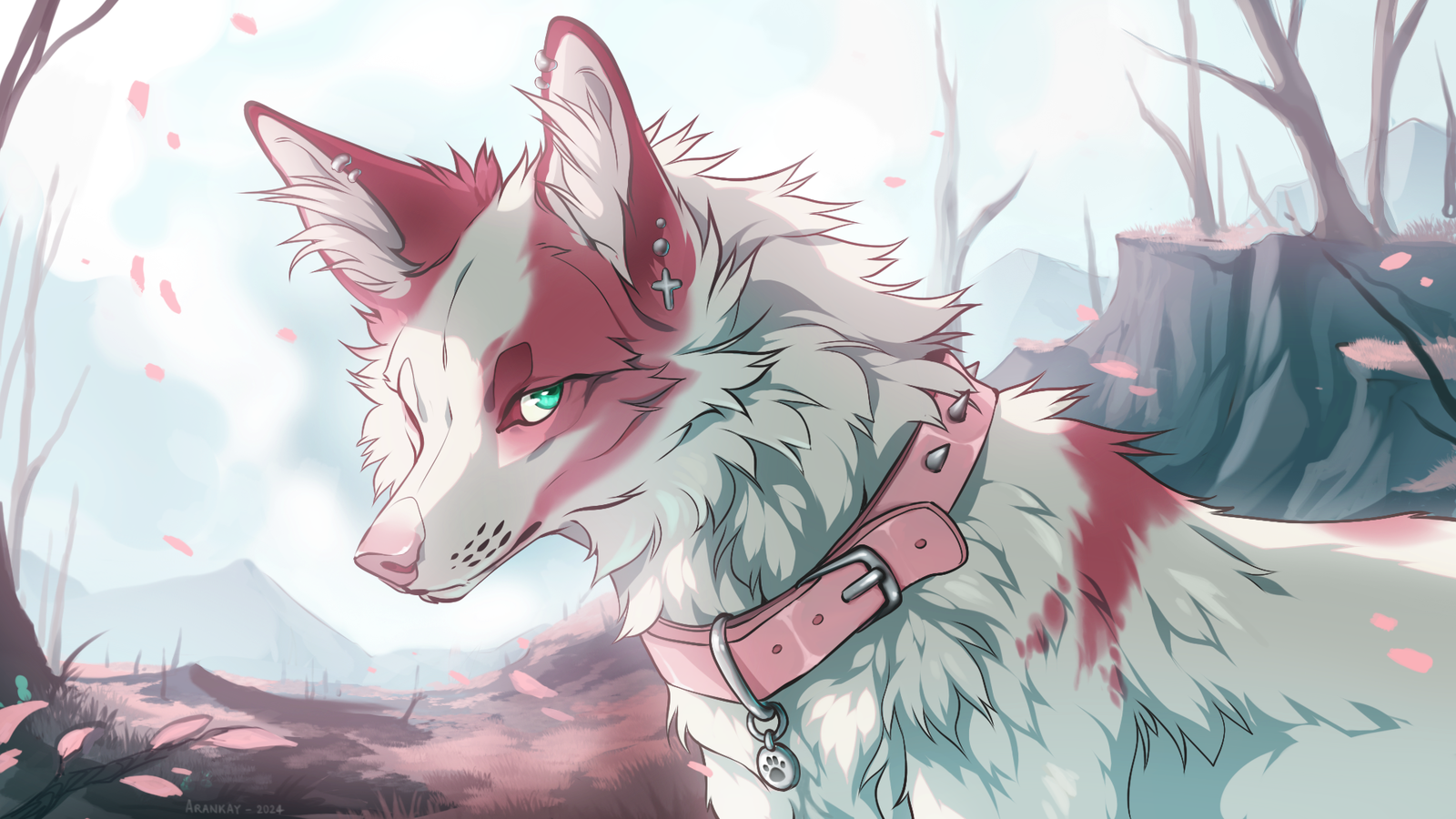 Banner Background