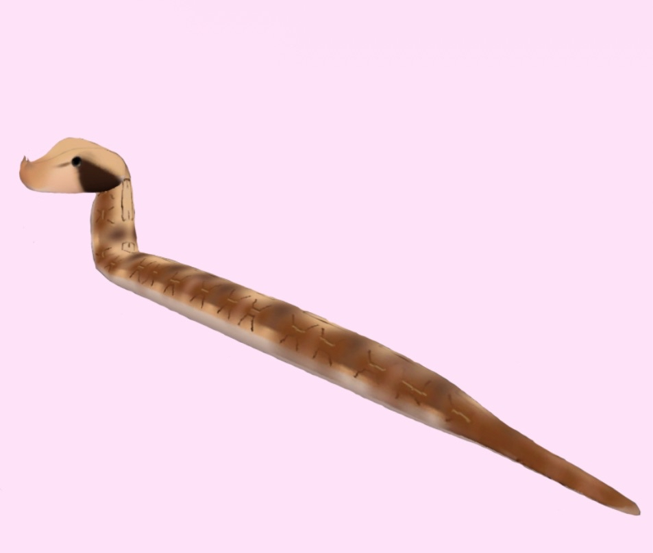 Free gaboon viper for vrchat