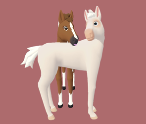 Foal