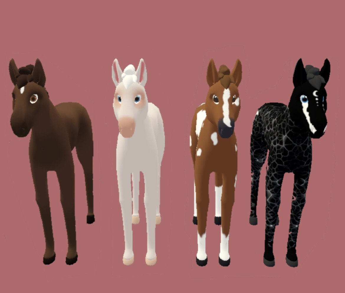 Foal