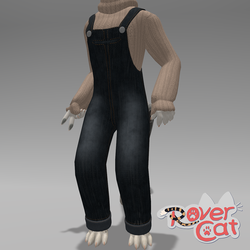 Dungarees (overalls) for RoverCat
