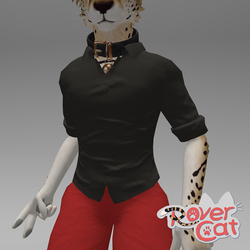 Rolled up Shirt for RoverCat
