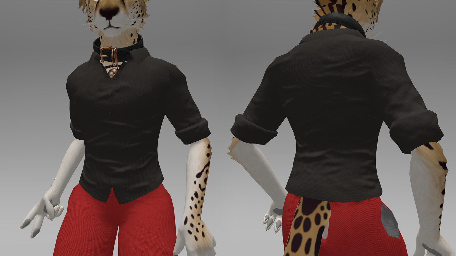 Rolled up Shirt for RoverCat