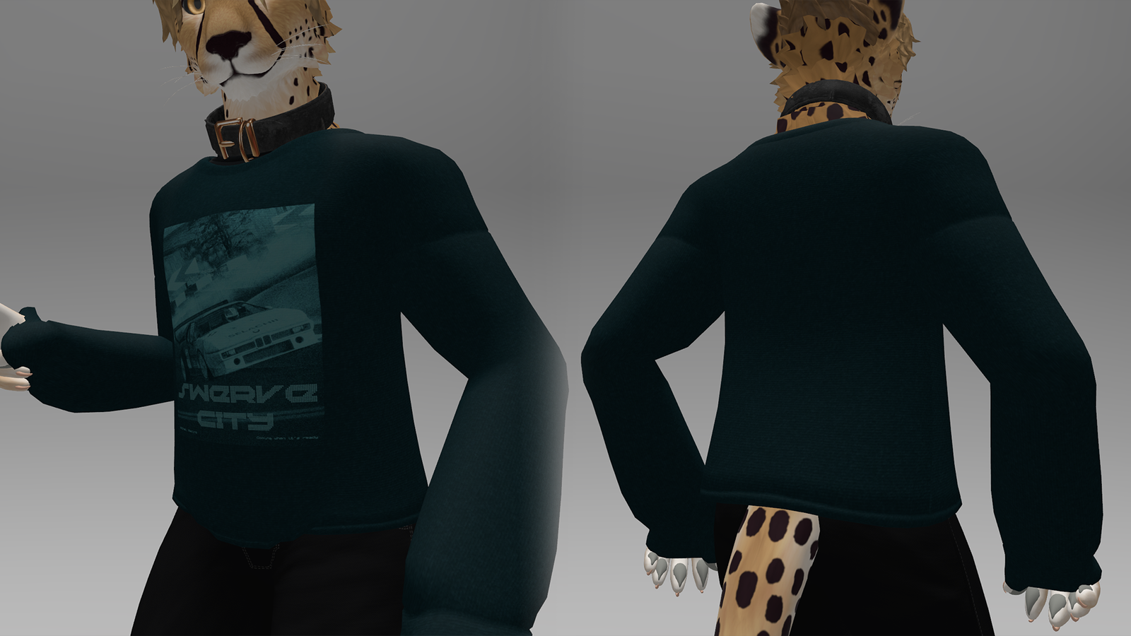 Sweatahirt for RoverCat