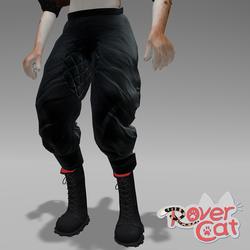Tech Shorts for RoverCat