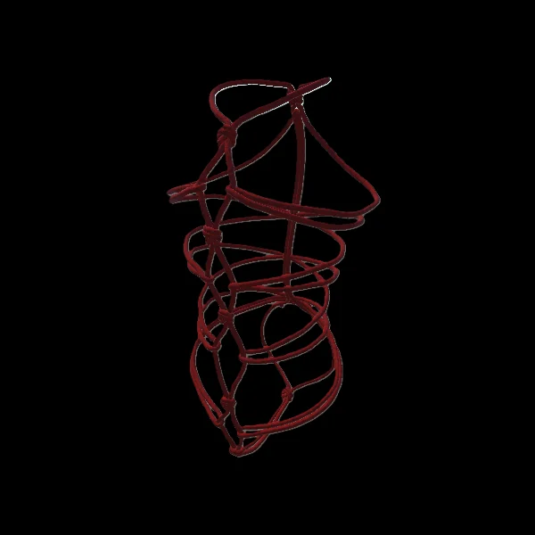 Shibari for the Nardoragon