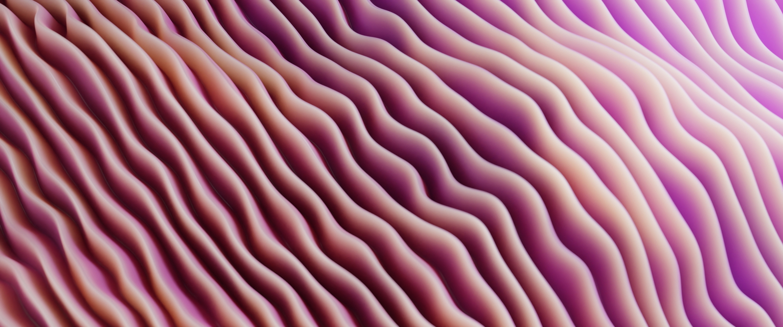 Banner Background