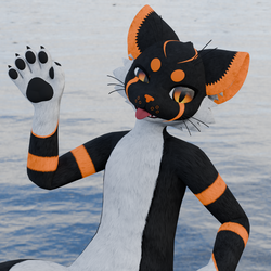 Mayu Texture