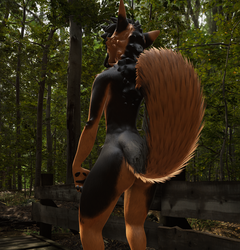 Rex German Shepard Textures
