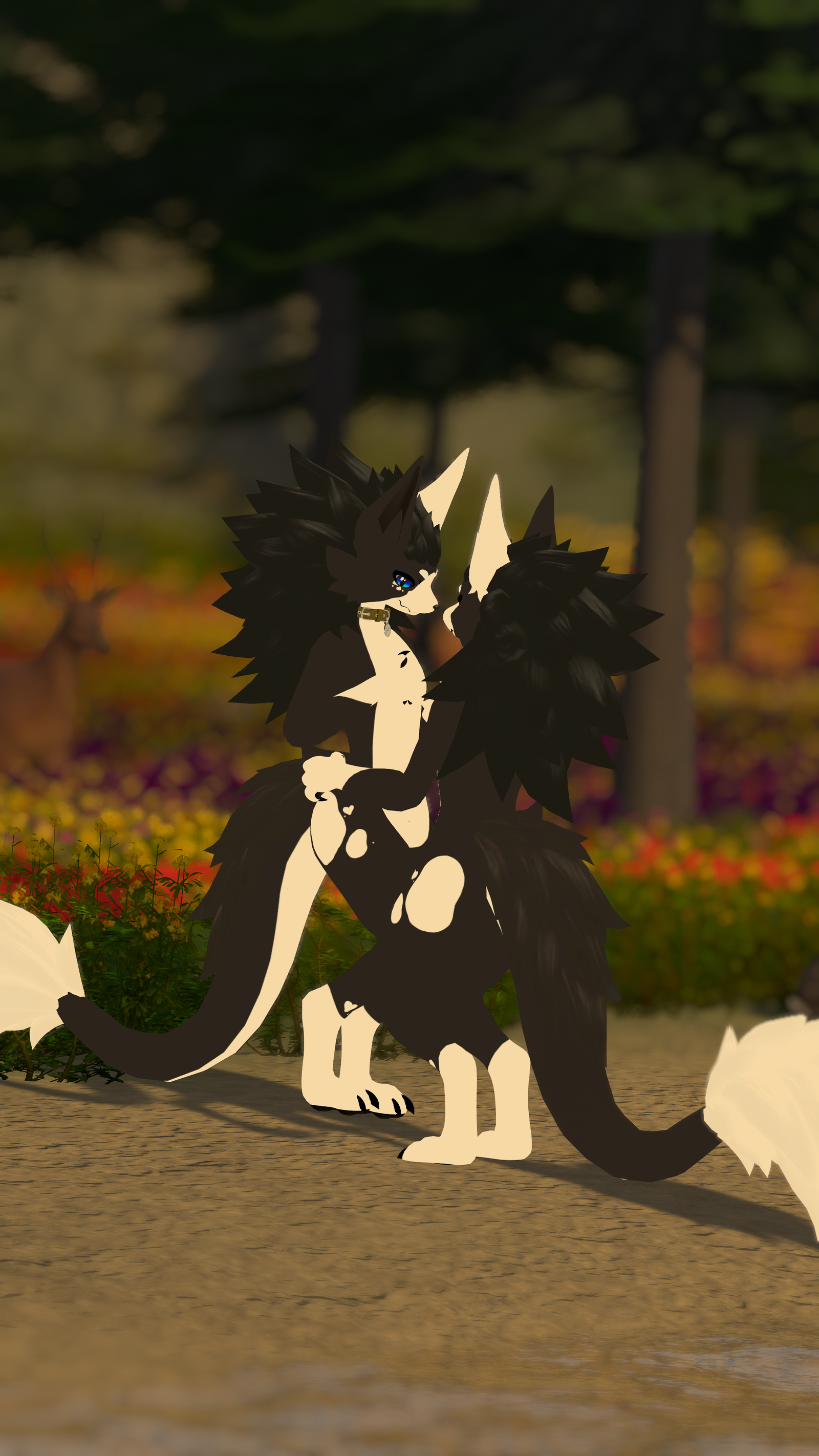 Novabeast Border Collie Texture!