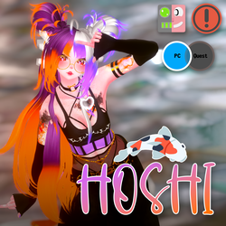 Hoshi PC/VRCFT