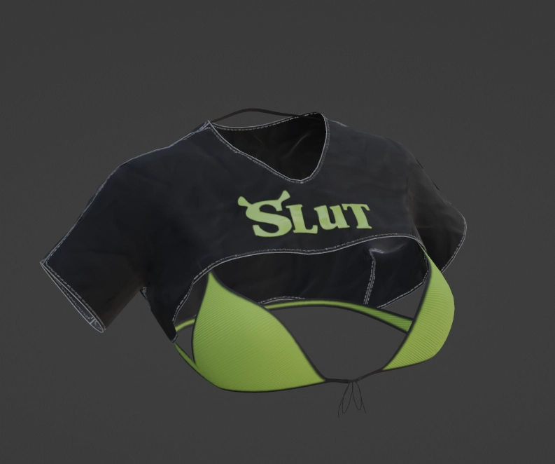 Free shrlut top