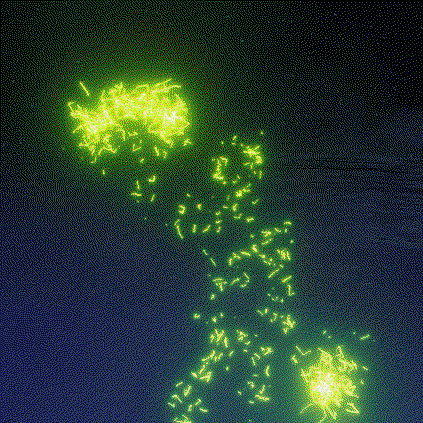 Phawksea's Lightning Pack