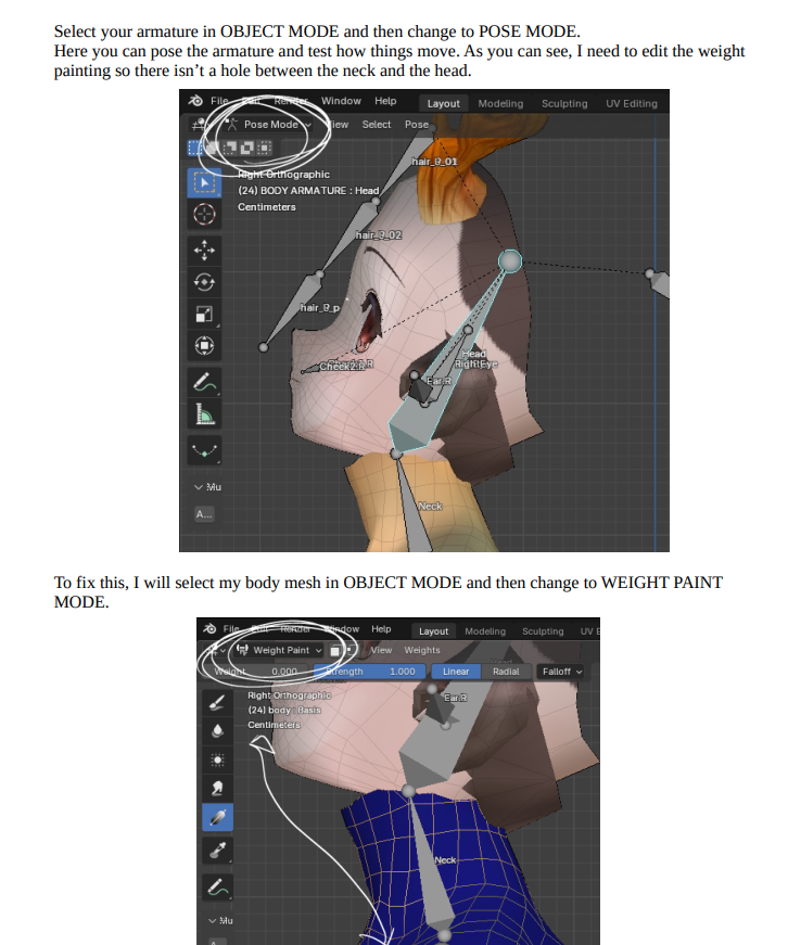 How to change an avatar's head PDF Tutorial