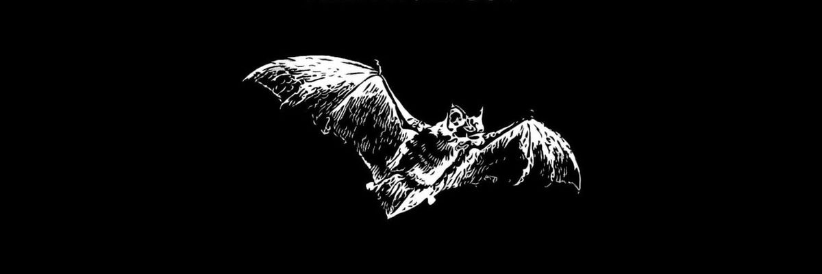 Banner Background