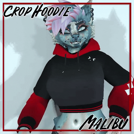 Crop Hoodie | Malibu