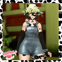 Loin [FEMBOY] VRCFT PC ONLY