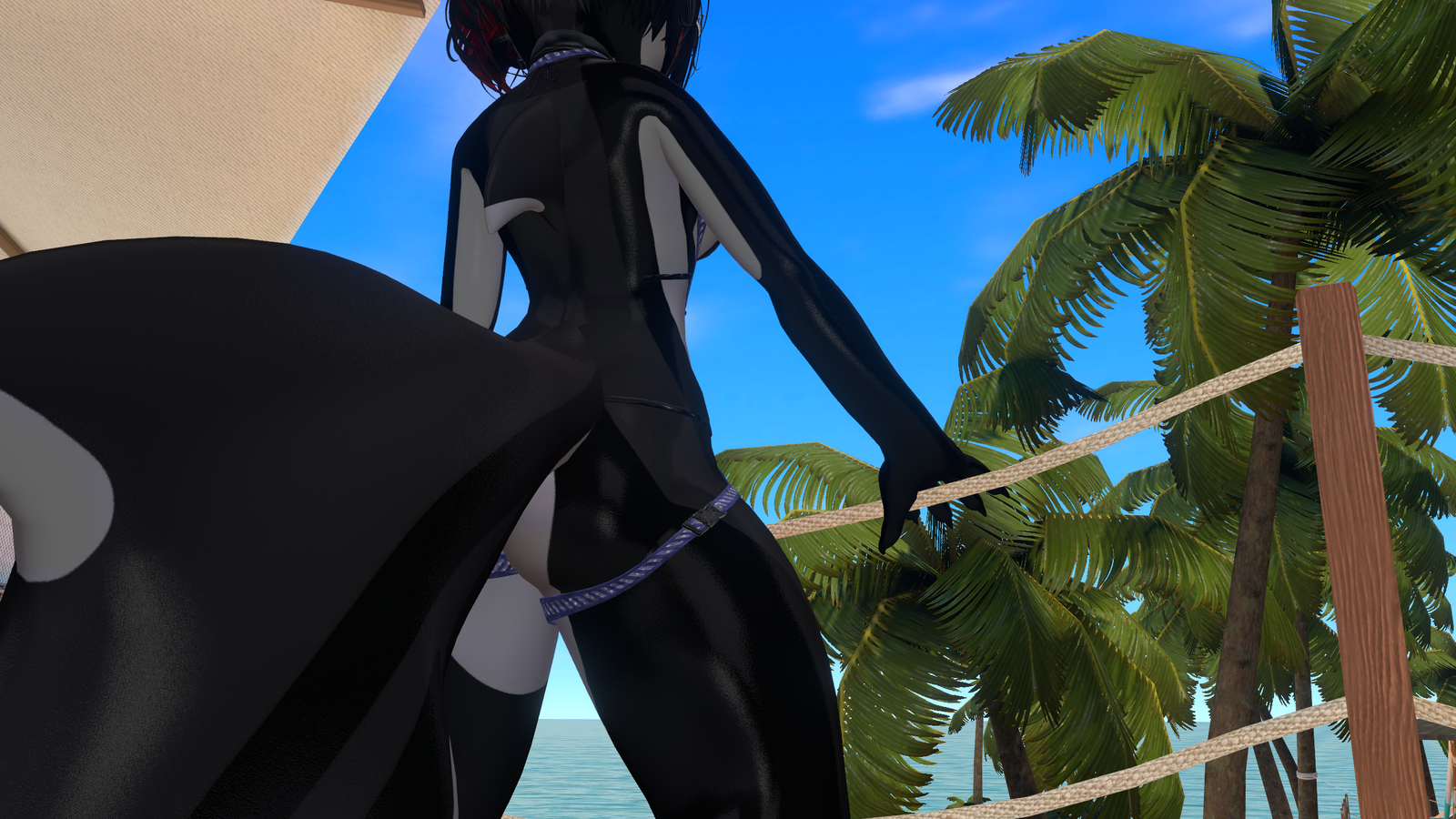 Nanami the Shark harness