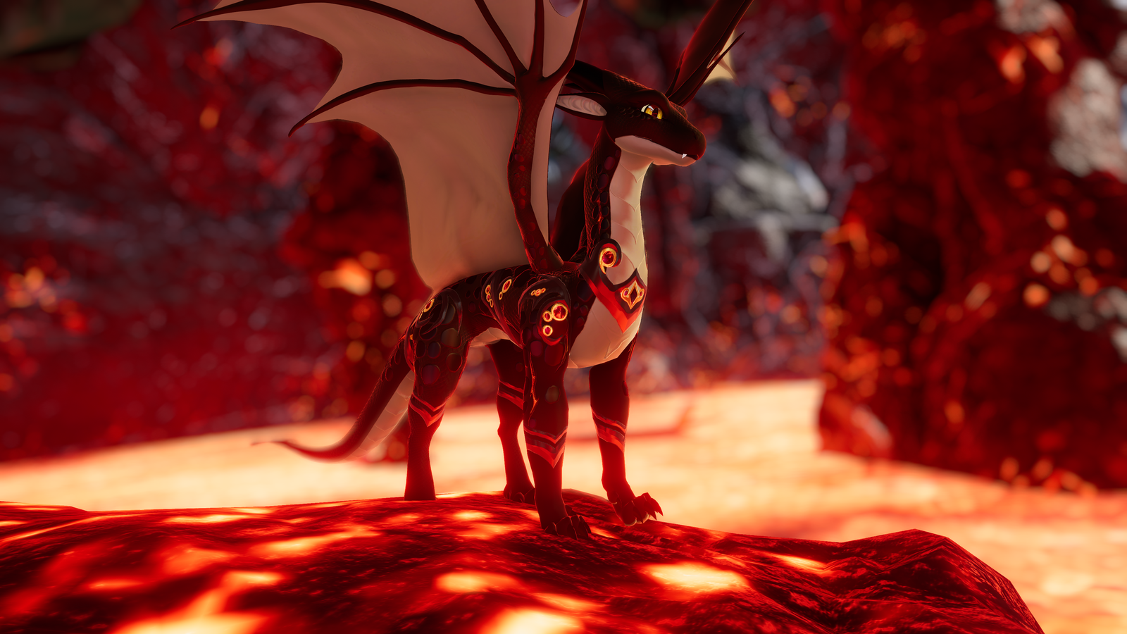 Black Dragonflight texture (for the Dovabrodian)