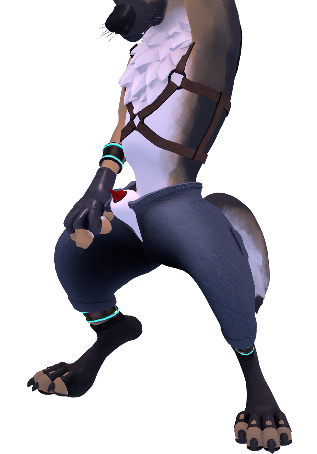 WuffBits - Anatomically Correct Male Canine Penis, Sheath and Anus