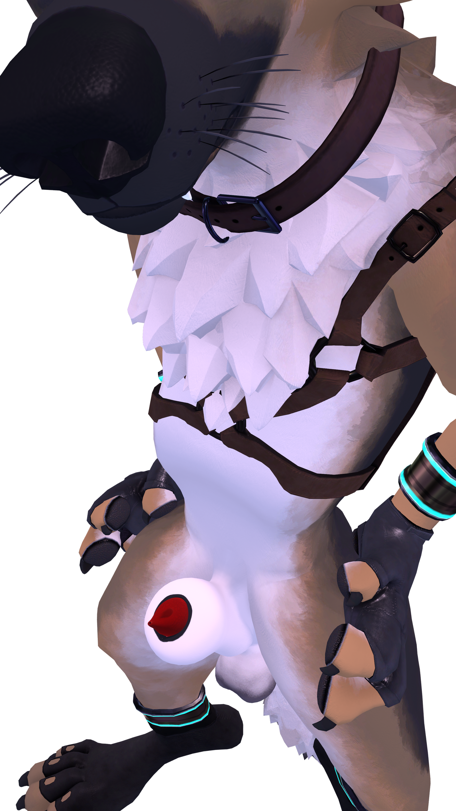 WuffBits - Anatomically Correct Male Canine Penis, Sheath and Anus